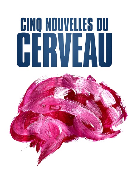 Cinq nouvelles du cerveau