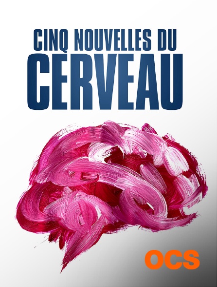 OCS - CINQ NOUVELLES DU CERVEAU