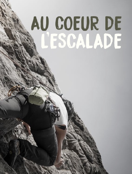 Au coeur de l'escalade
