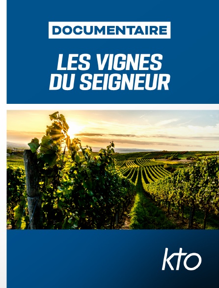 KTO - Les Vignes du Seigneur