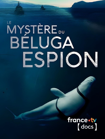 France TV Docs - Le mystère du béluga espion