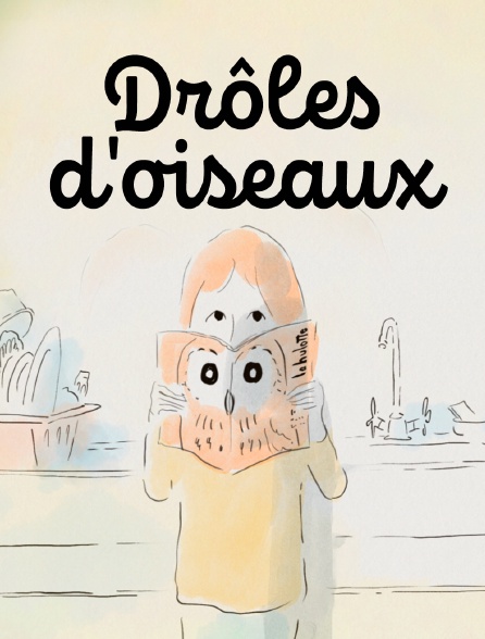 Drôles d'oiseaux