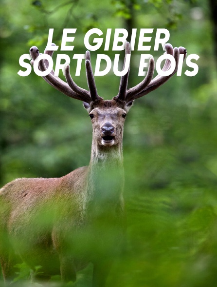 Le gibier sort du bois