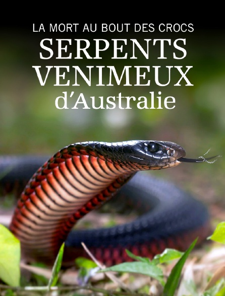 La mort au bout des crocs : Serpents venimeux d'Australie