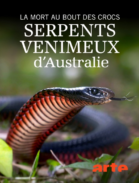 Arte - La mort au bout des crocs : Serpents venimeux d'Australie