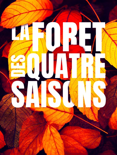 La forêt des quatre saisons