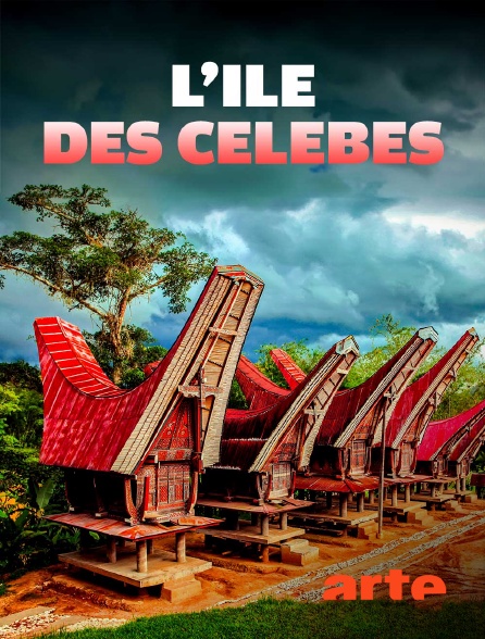 Arte - L'île des Célèbes : La cérémonie funéraire du peuple Toraja