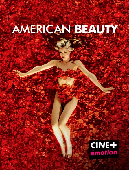 CINE+ Emotion - American Beauty