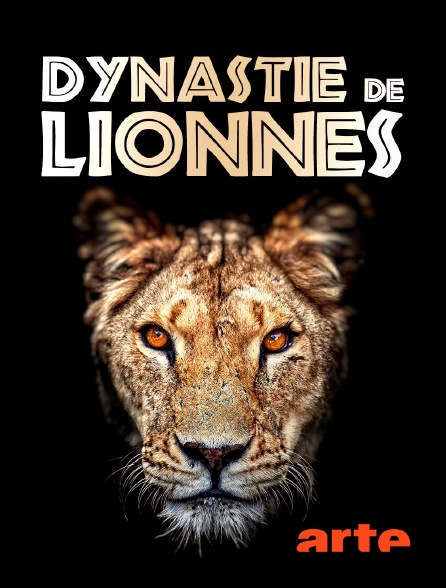 Arte - Dynastie de lionnes : Les héritiers face au destin