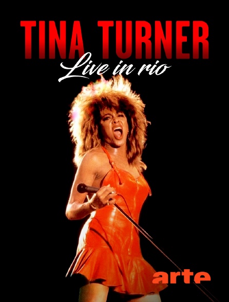 Arte - Tina Turner : Live in Rio