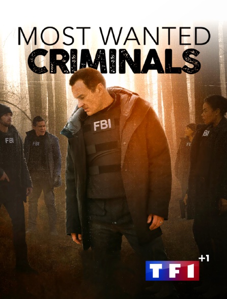 TF 1 +1 - Most Wanted Criminals