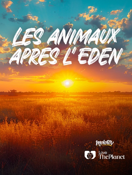 Love the Planet - Les animaux après l'Eden