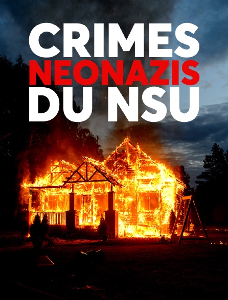 Crimes néonazis du NSU : Les plaies ouvertes d'une enquête