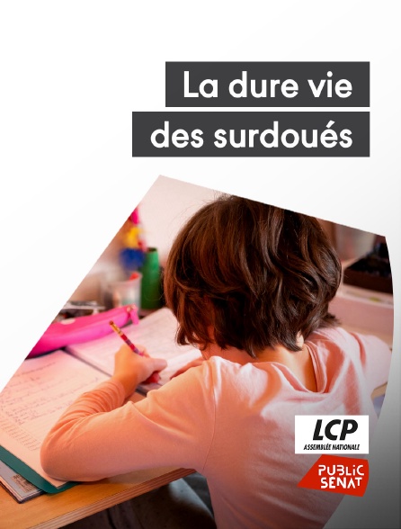 LCP Public Sénat - La dure vie des surdoués