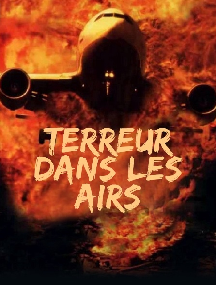 Terreur dans les airs