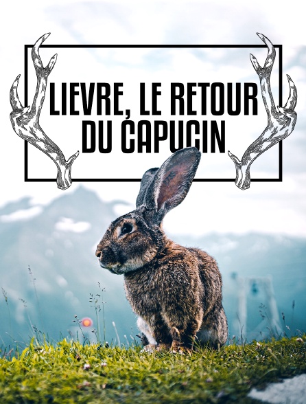 Lièvre, le retour du capucin