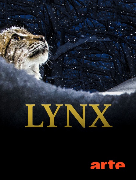 Arte - Lynx