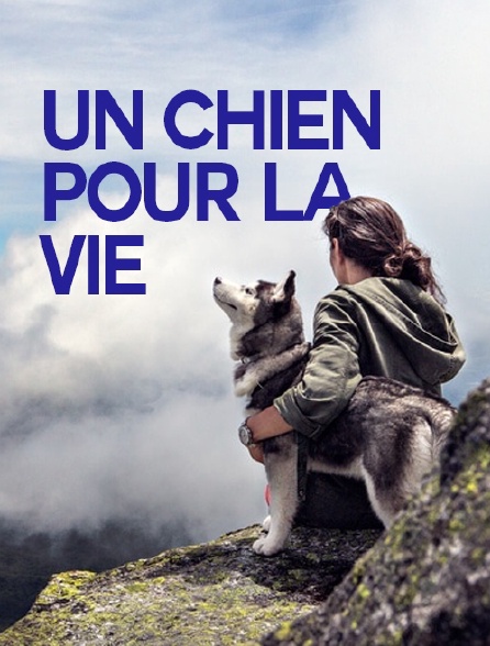 Un chien pour la vie