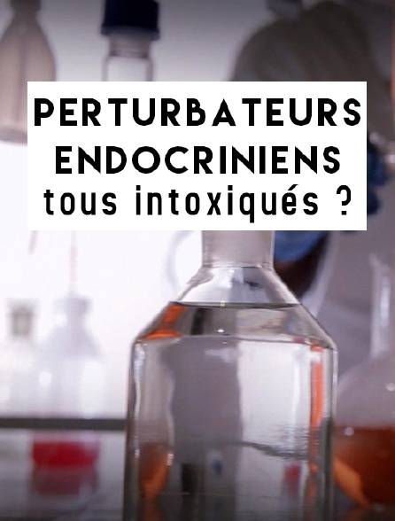 Perturbateurs endocriniens, tous intoxiqués ?