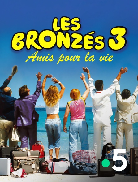 France 5 - Les bronzés 3 : amis pour la vie
