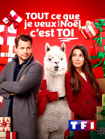 TF1 - Tout ce que je veux pour Noël… c'est toi !