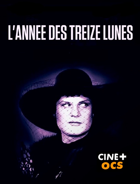 CINÉ Cinéma - L'année des treize lunes