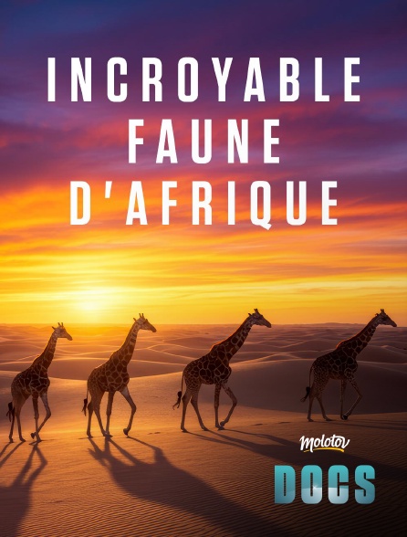 Molotov Channels Docs - Incroyable faune d'Afrique