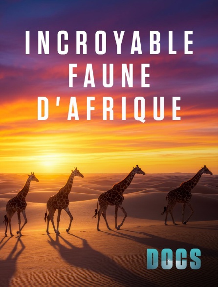 Molotov Channels Docs - Incroyable faune d'Afrique