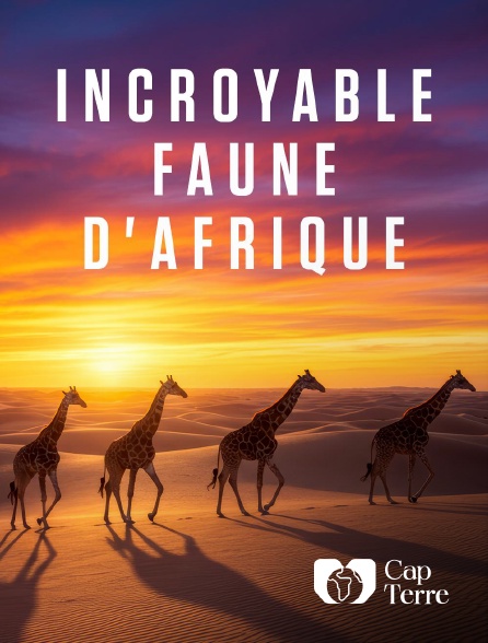 Cap Terre - Incroyable faune d'Afrique