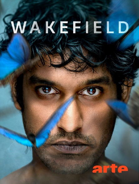 Arte - Wakefield