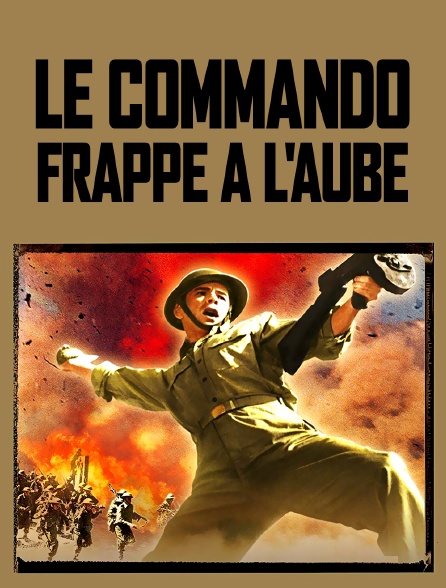 Le commando frappe à l'aube