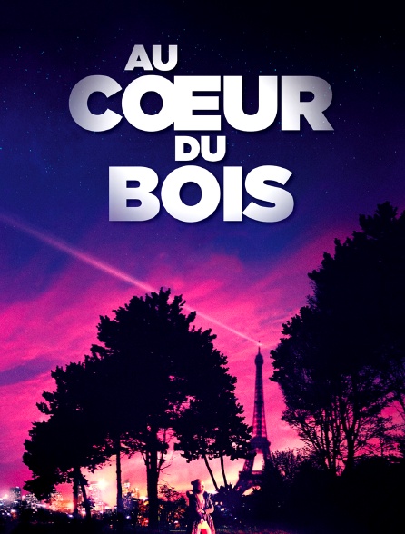 Au cœur du bois
