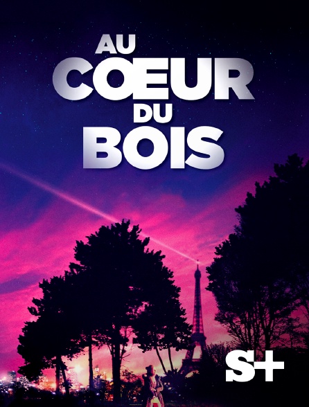 Society+ - Au cœur du bois