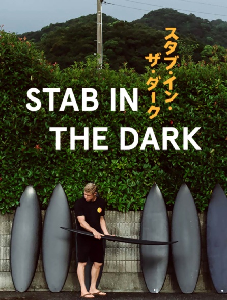 Stab in the Dark