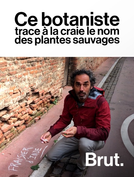 Brut - Toulouse : ce botaniste trace à la craie le nom des plantes sauvages