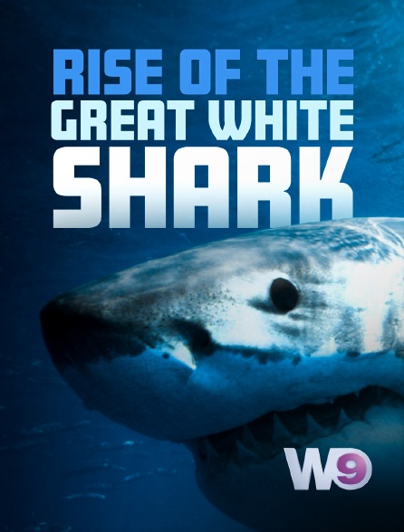 W9 - Rise of the great white shark