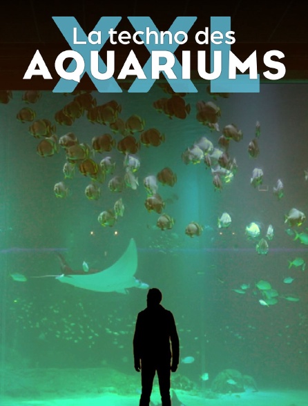 La techno des aquariums XXL