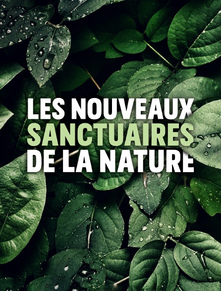 Les nouveaux sanctuaires de la nature