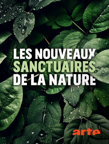 Arte - Les nouveaux sanctuaires de la nature
