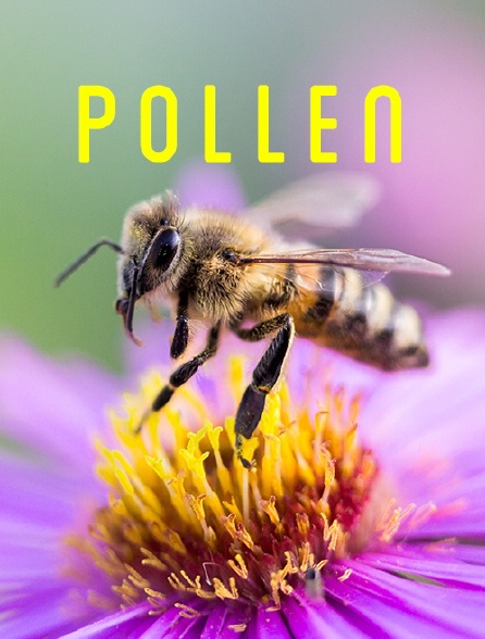 Pollen