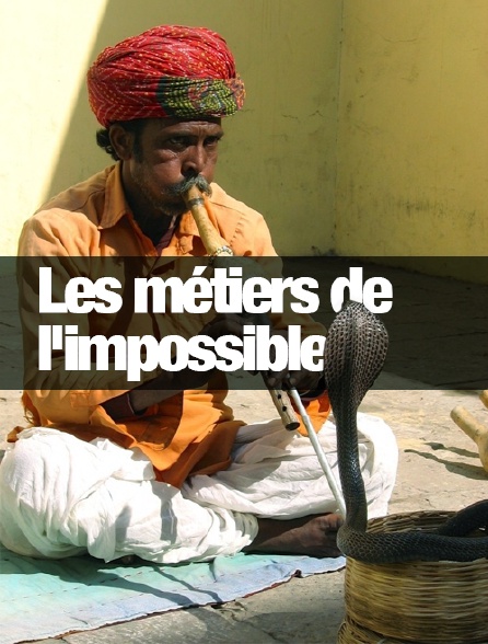 Les métiers de l'impossible