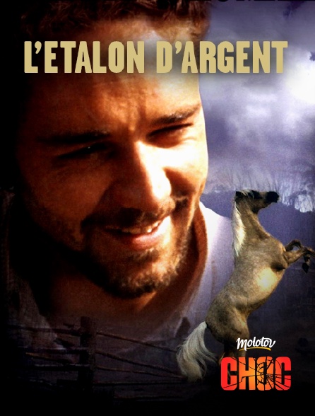 Molotov Channels CHOC - L'étalon d'argent