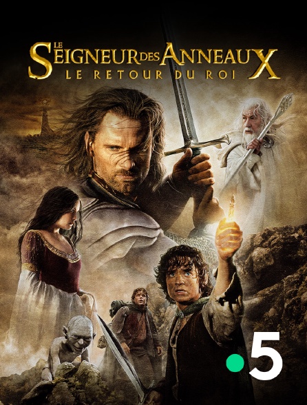 France 5 - Le seigneur des anneaux : le retour du roi