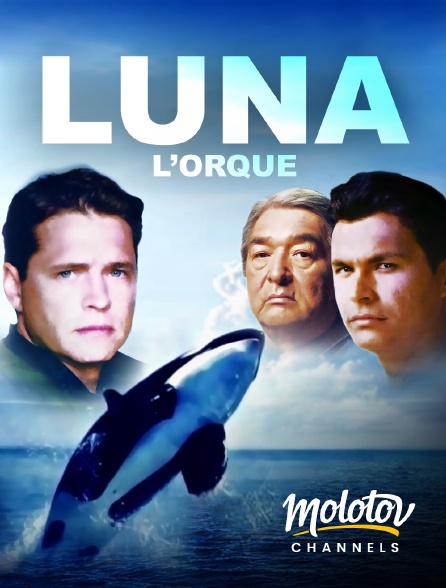 Mango - Luna l'orque