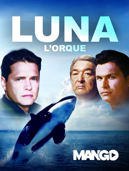Mango - Luna l'orque