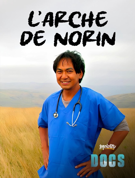 Molotov Channels Docs - L'Arche de Norin