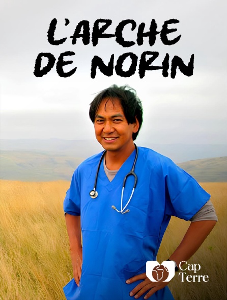 Cap Terre - L'Arche de Norin