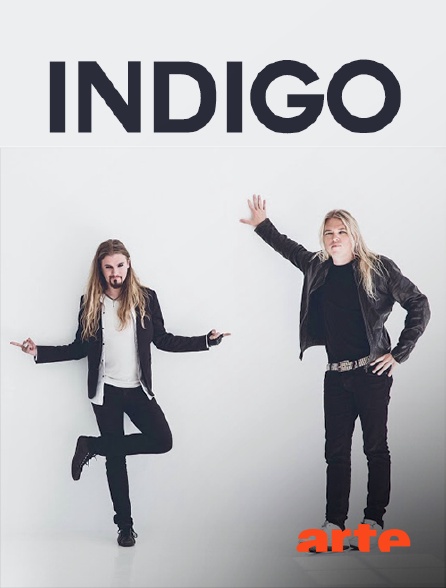 Arte - Indigo
