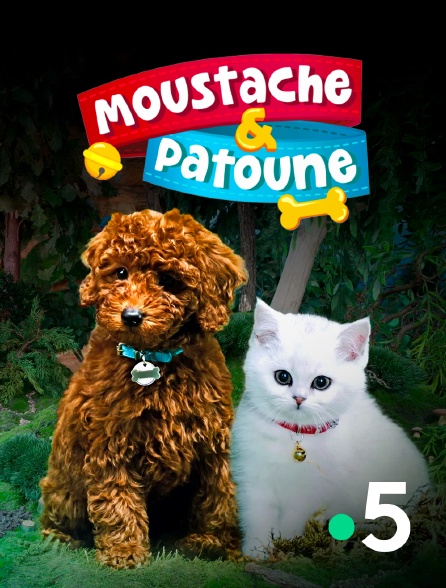 France 5 - Moustache & Patoune