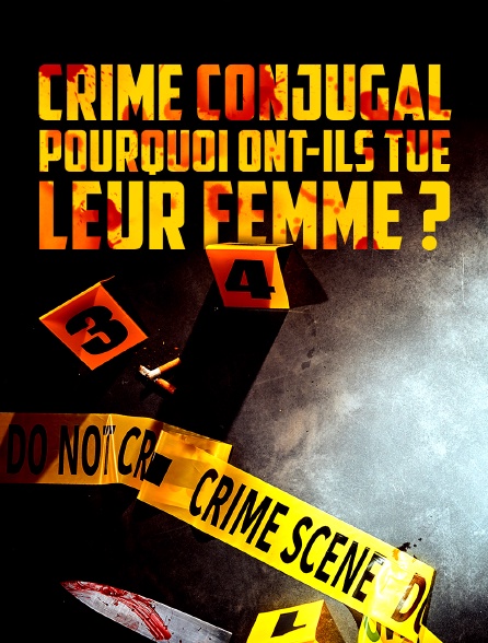 Crime conjugal : pourquoi ont-ils tué leur femme ?